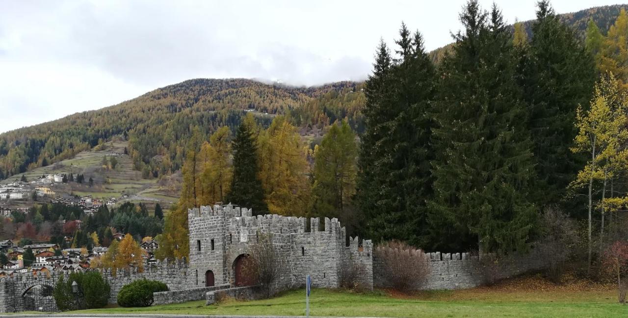 Un Nido Nella Torre Del Castello Ponte Di Legno
